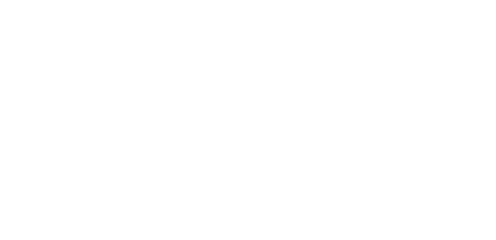 VOSS-logo