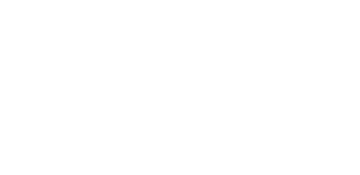 VOSS-logo